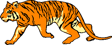Tiger3